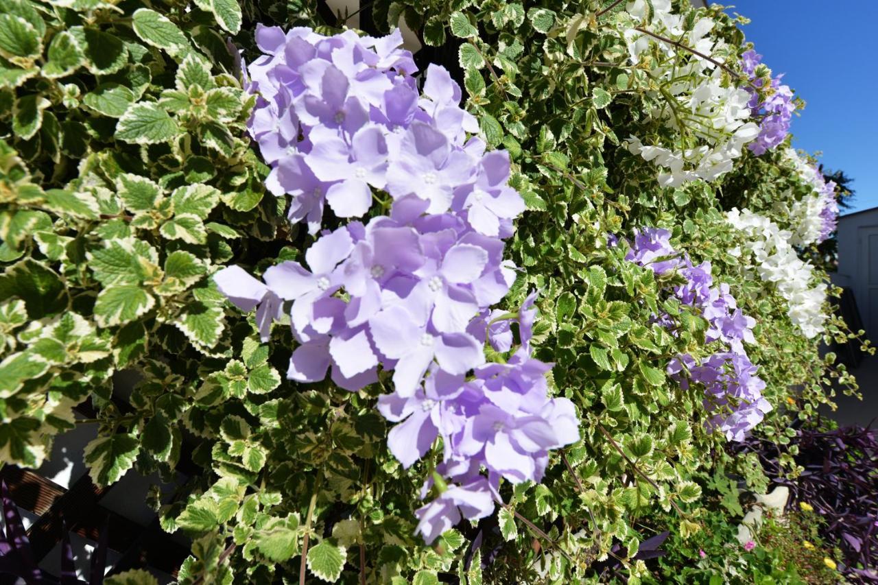 Apartment Lavender Vir Zewnętrze zdjęcie