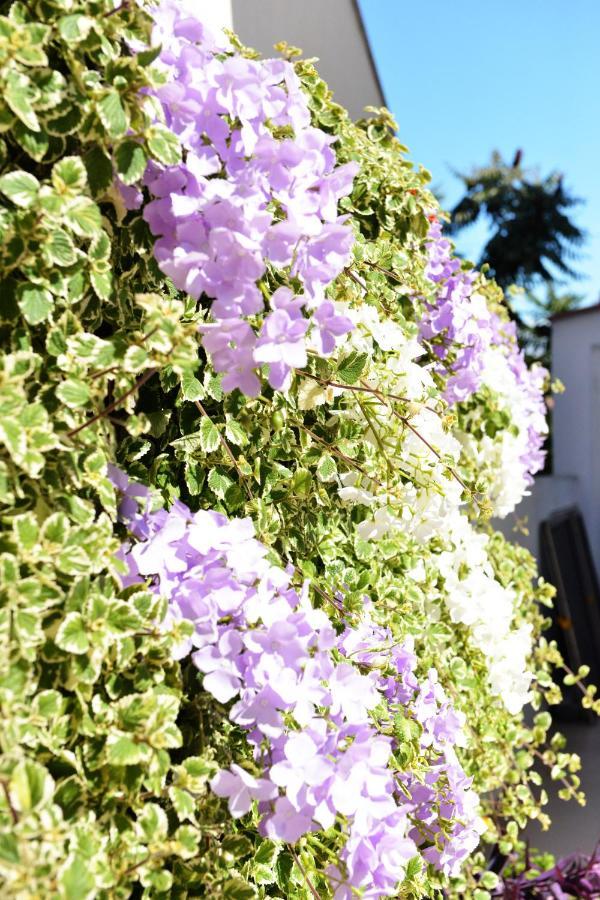 Apartment Lavender Vir Zewnętrze zdjęcie